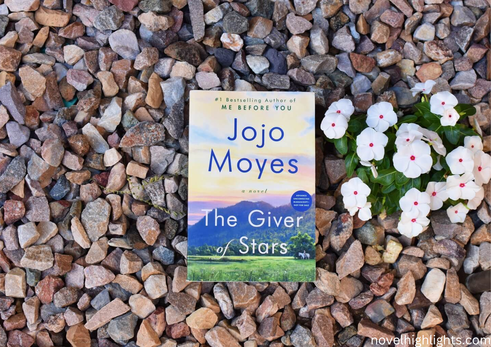 The Giver of Stars