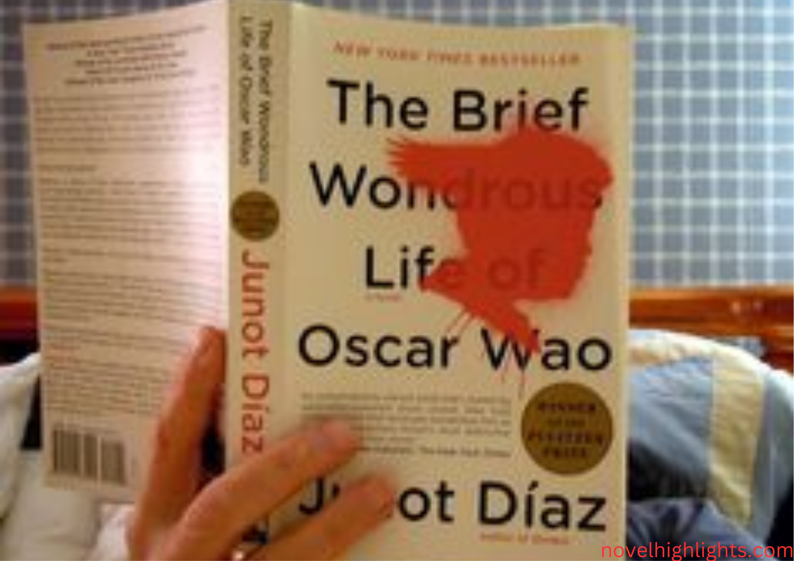 The Brief Wondrous Life of Oscar Wao