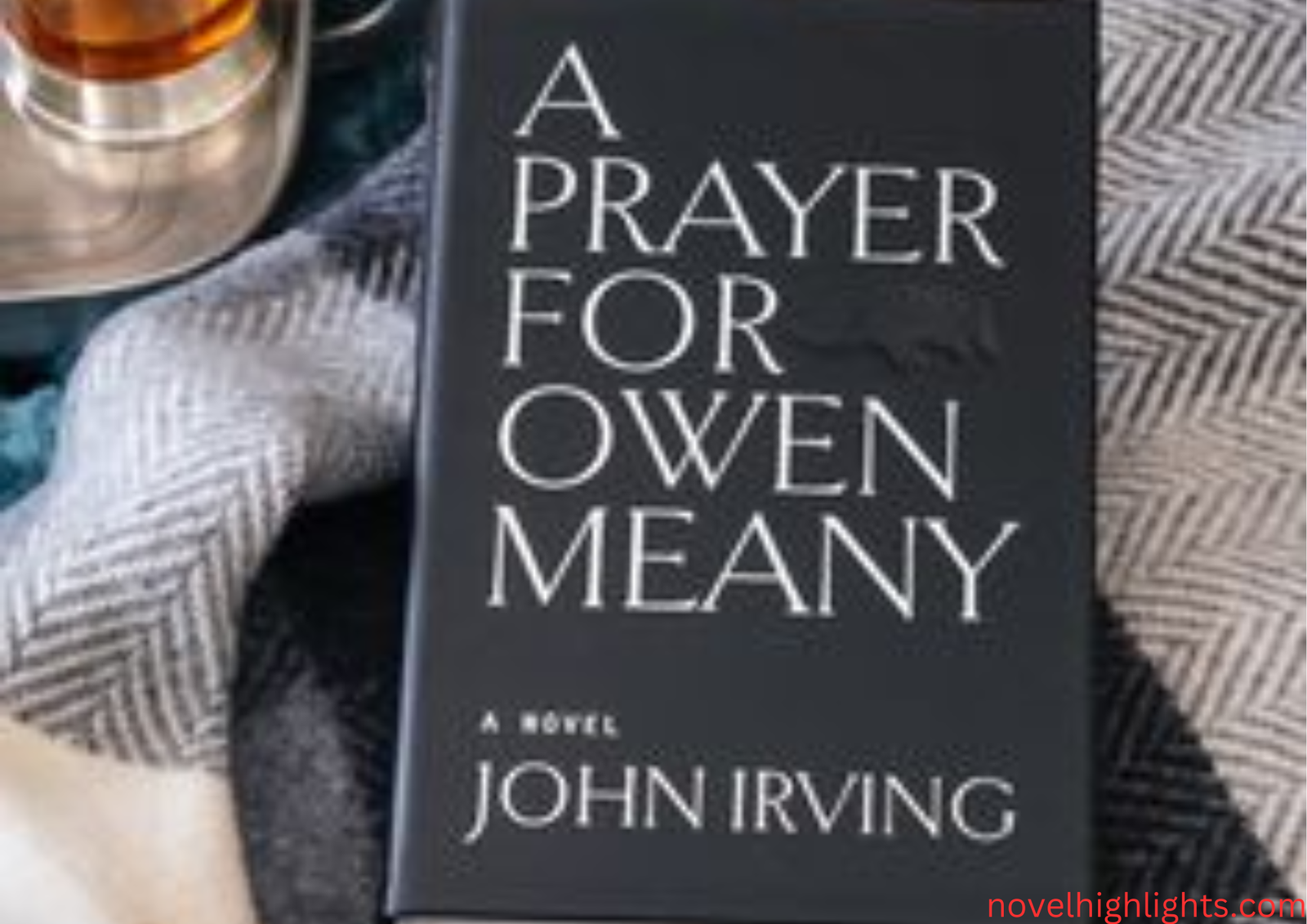 A Prayer for Owen Meany