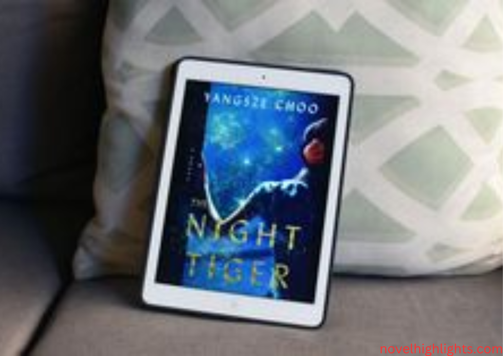 The Night Tiger